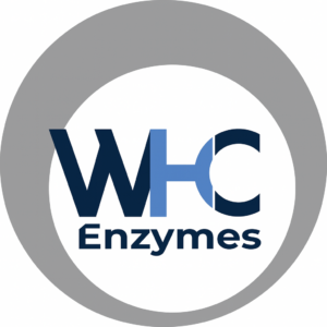 ChatGPT Image Dec 9, 2025, 09 19 43 AM